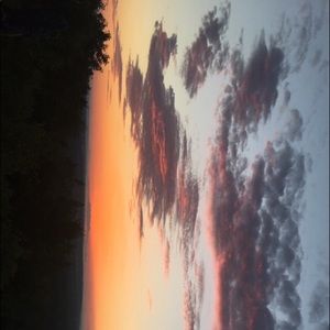 Meet your Posher, Jackson